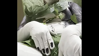 229 cosplay porn videos